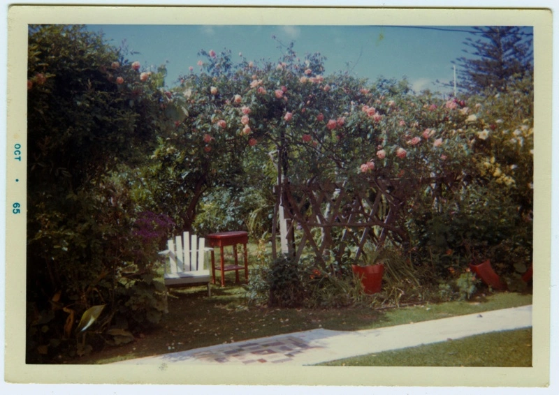 Cape Cod Chair in Brain-Watkins House Garden