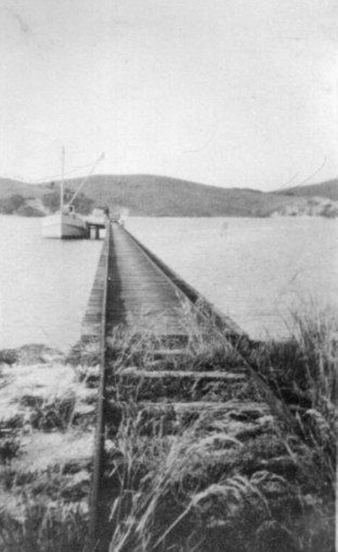 "Te Tui" steamer
