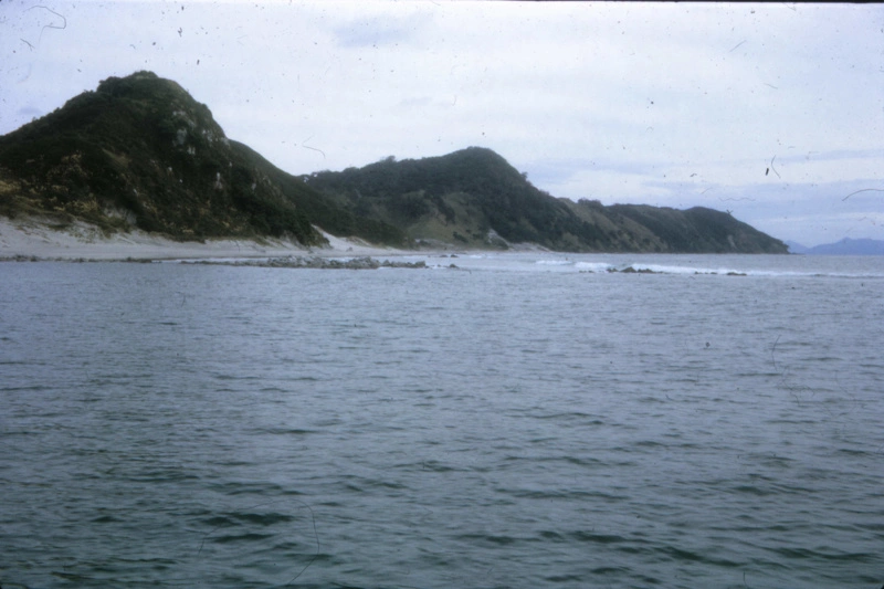 Bream Tail Farm