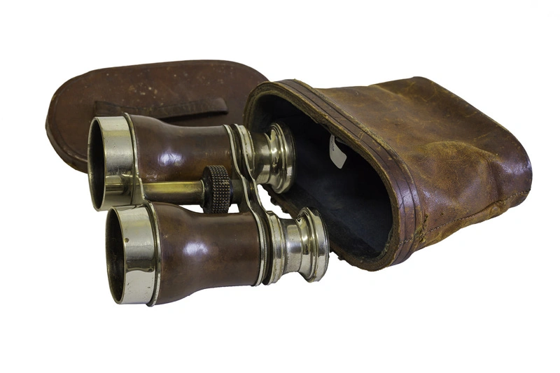 Binoculars in Brown Leather Case