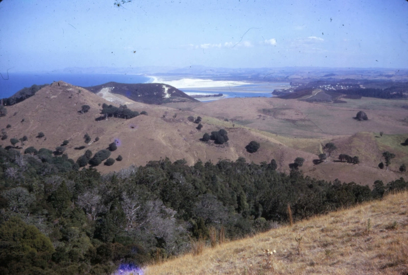 Bream Tail Farm