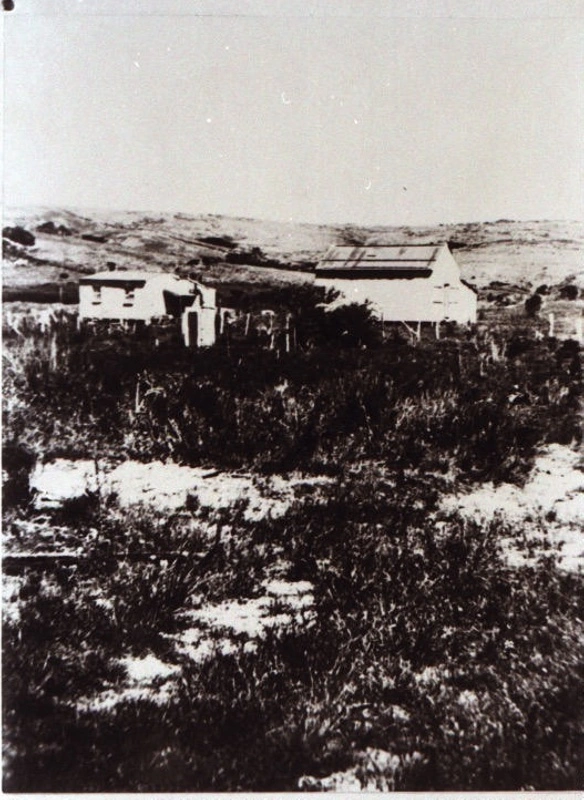 Government Gum Shed, Mangawai
