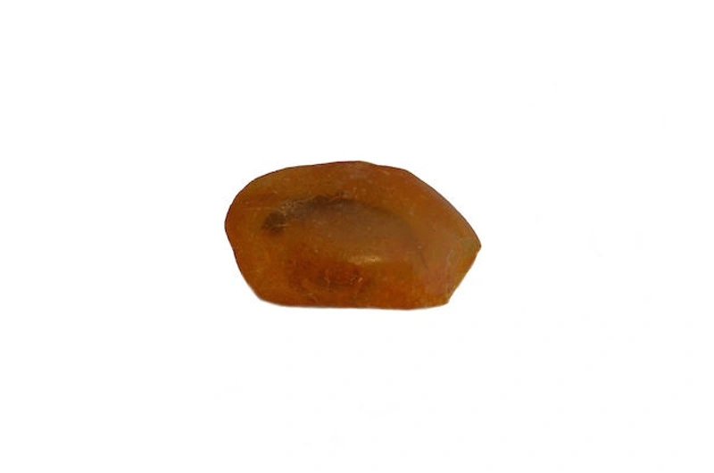 Piece of Kauri Gum with Lizard inside.