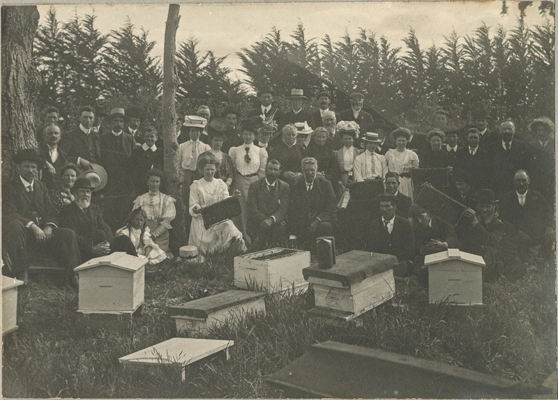 Photograph, Bee Field Day