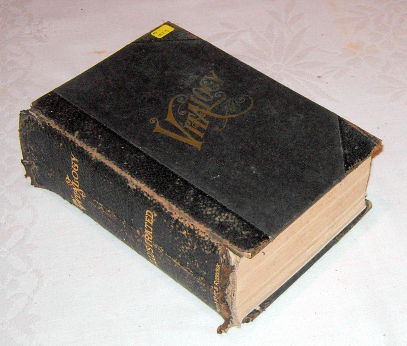 Book - Vitalogy