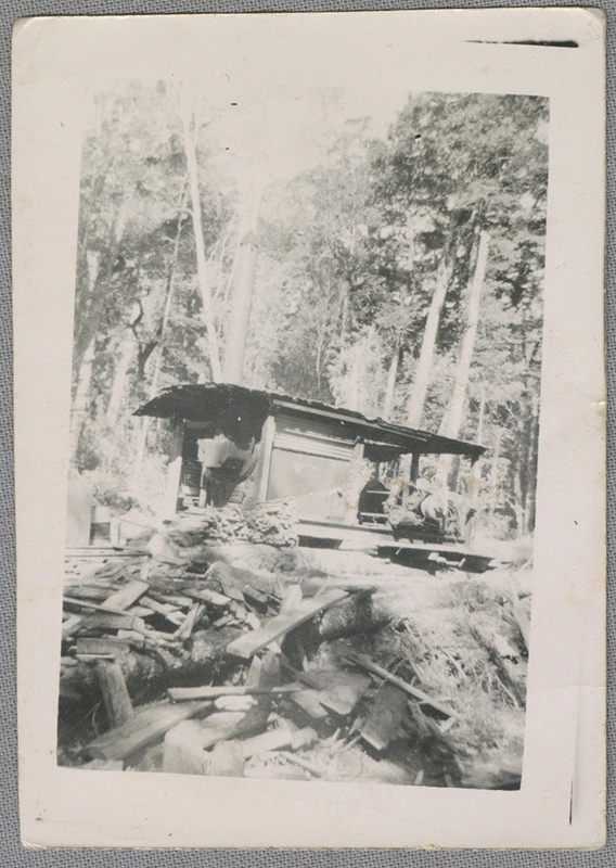 Photograph, Logging hauler, 'Red Pine' Block, Longwoods