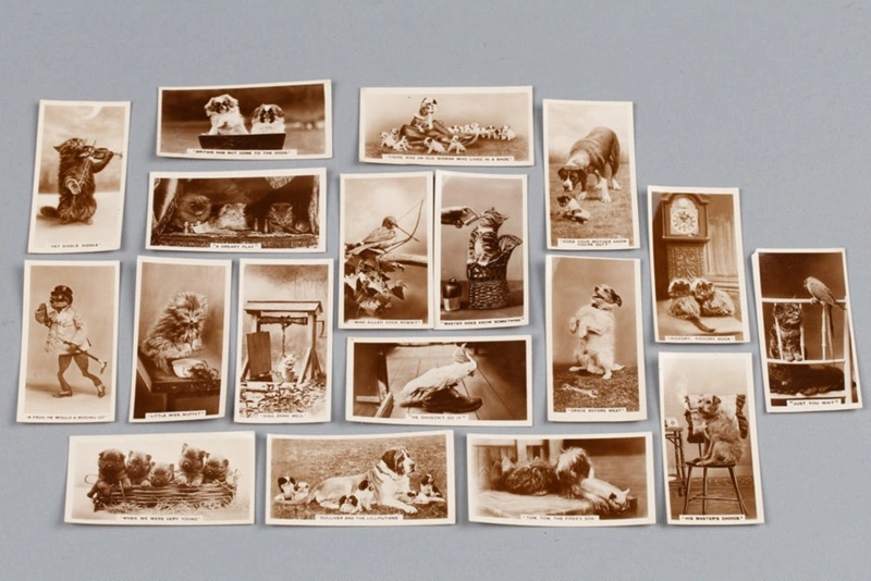 Cigarette cards, De Reszke, Real Photographs 4th and 5th Series