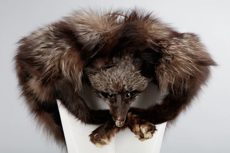 Stole, Fox fur