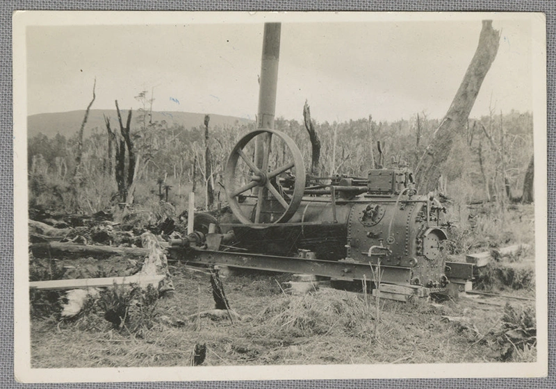 Disused steam log hauler Longwood ranges 1935