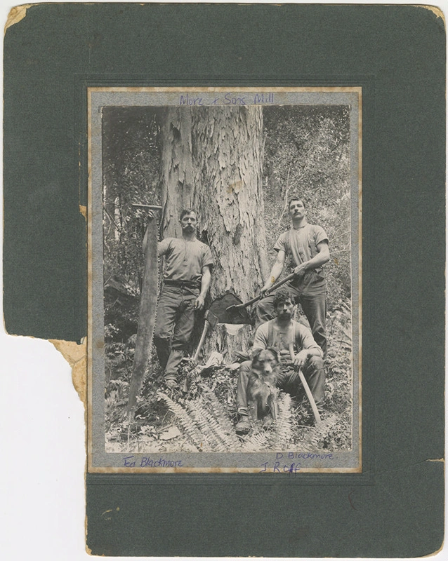Photograph, Ted Blackmore, D Blackmore, James Roff, More and Sons Mill