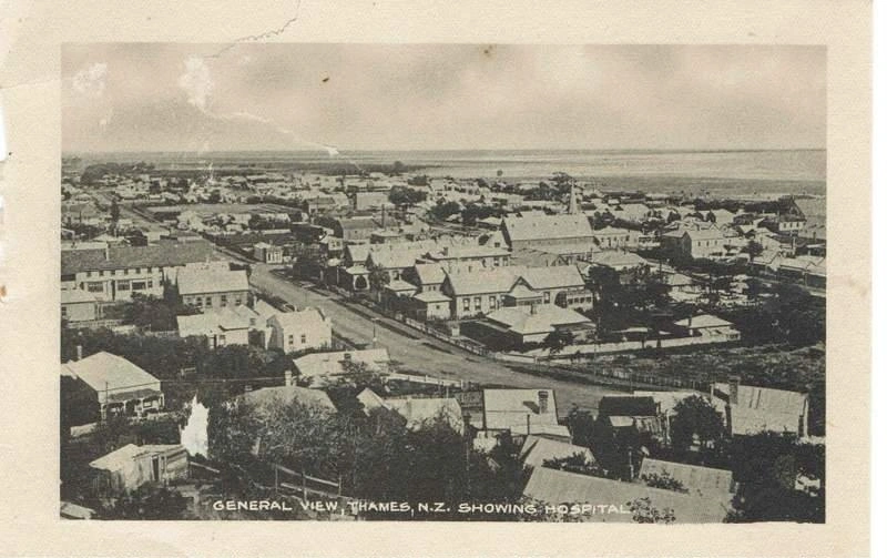 Photograph, General View Thames Hospital Postcard