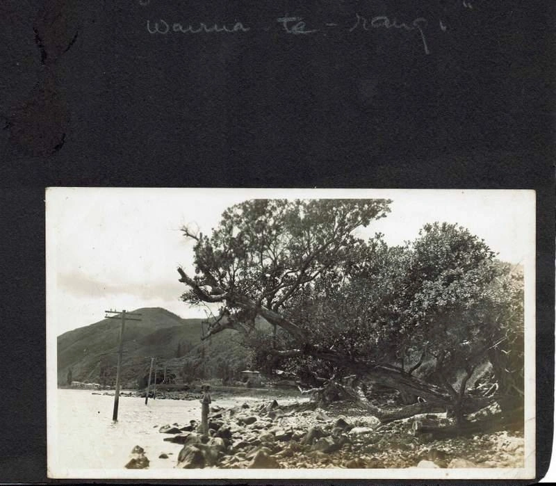 Photograph, Ngarimu Bay to Thornton Bay Thames Coast