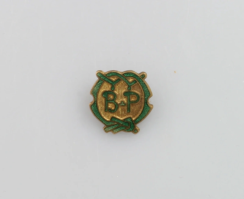 Badge, Brownies, Brown Owl Badge