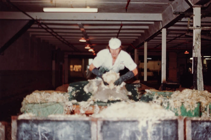 Photograph [Wool Pulling, Mataura Freezing Works]
