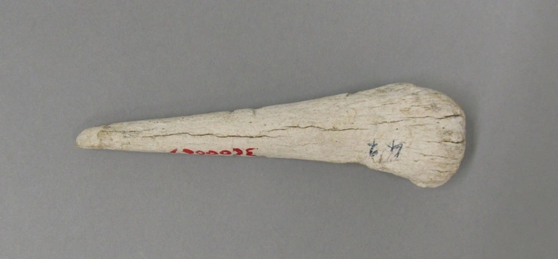 Aurei (cloak pin)