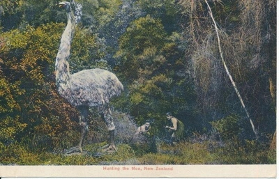 Postcard: Hunting the Moa, Hunting the Moa New Zealand