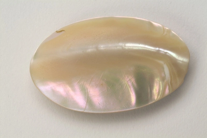 Mother of pearl brooch