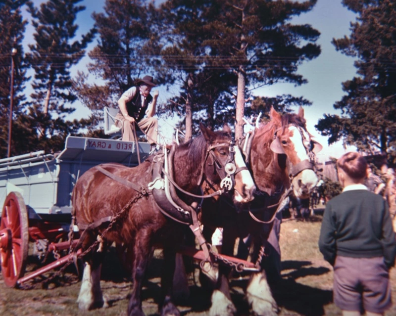 Photographs, Cromwell before the Clyde dam
