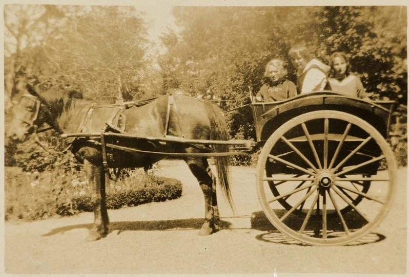 Stella and Cart undated