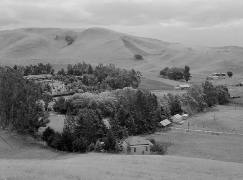 Horonui