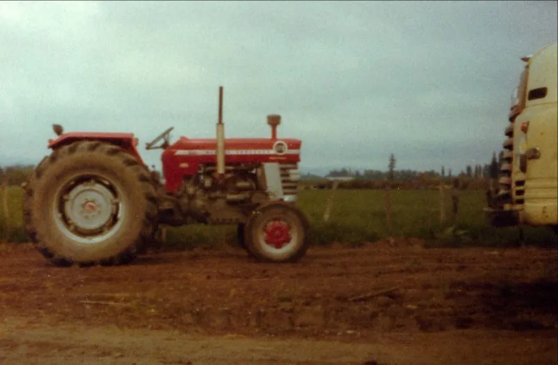 Tractors – Massey Ferguson 175
