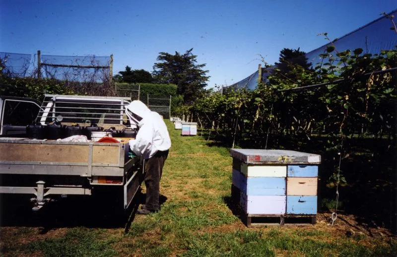 Beehives