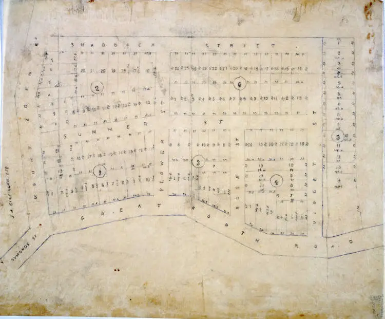 Map of Eden Terrace showing allotments in Summer, Flower, Rose, Violet and Shaddock Streets