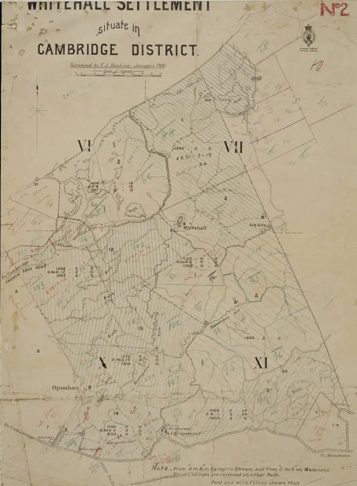 Whitehall settlement situate in Cambridge district, surveyed by F. J. Hosking, January, 1900.