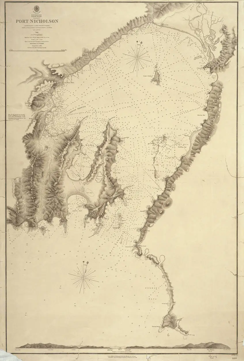 Port Nicholson surveyed by Captain J. L. Stokes, Commander G. H. Richards, Messers. F. J. Evans, J. W. Smith, R. Bradshaw, R. Burnett, J. M. Pridham. H.M.S. Acheron. 1849