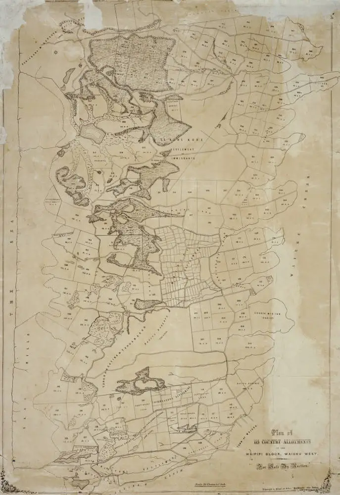 Plan of 115 country allotments in the Waipipi Block, Waiuku West for sale by auction.