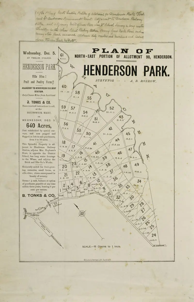 Plan of North-East portion of allotment 90, Henderson. Henderson Park