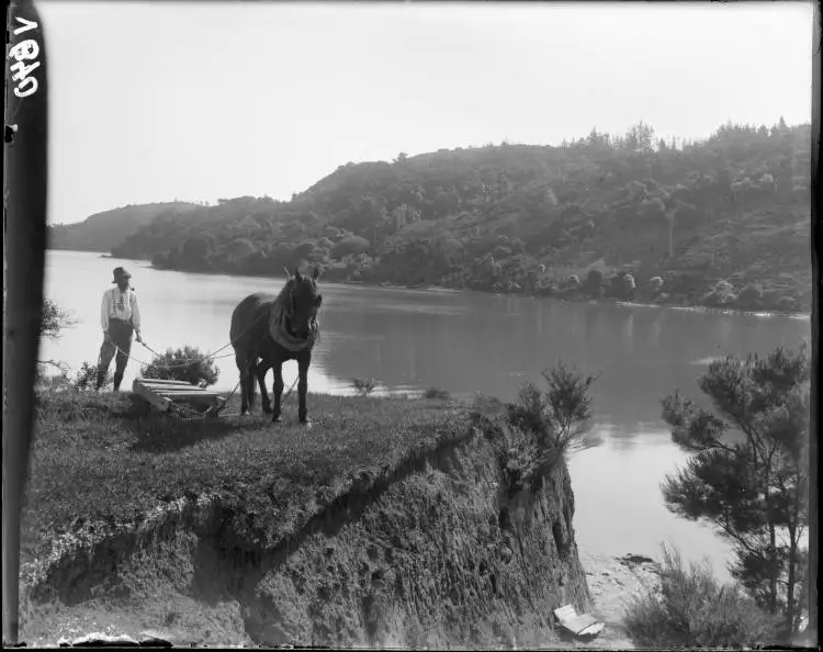 Man and horse at Hellyers Creek, Beach Haven, 1911