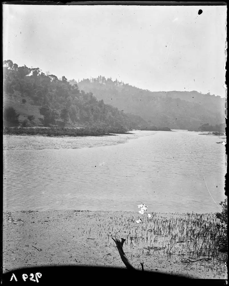 Hellyers Creek, Beach Haven, 1908