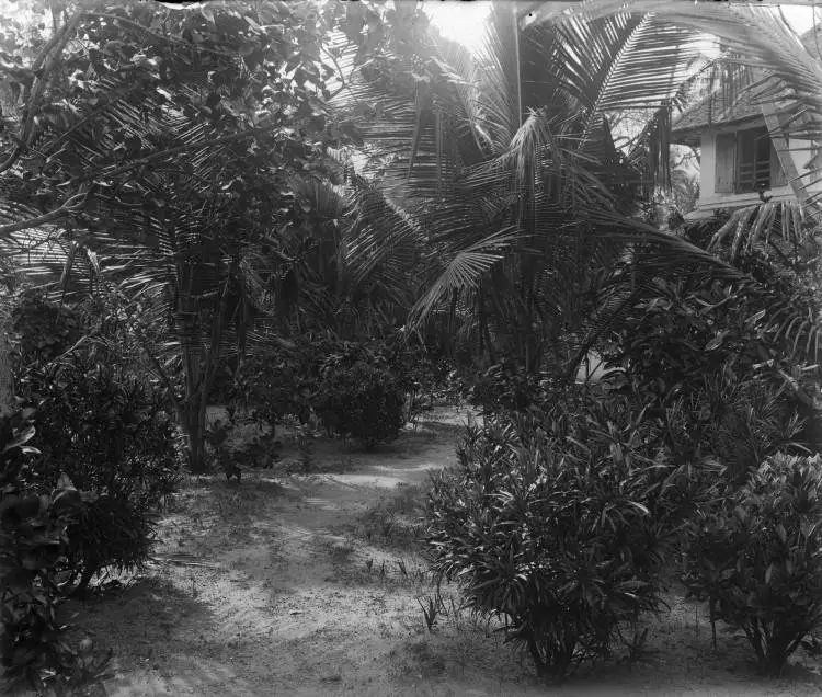 Garden in Alappuzha, Kerala, 1927