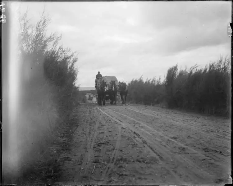 Heavily laden horse drawn wagons, Broadlands, 1908