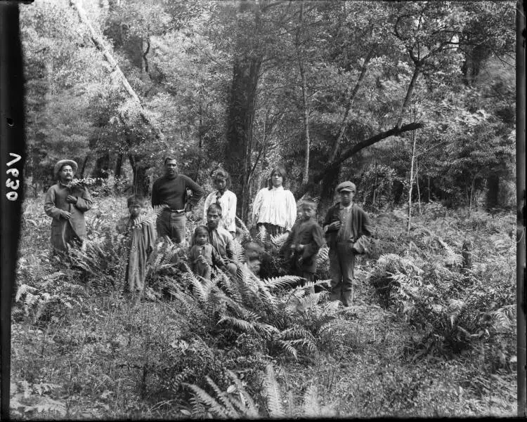 Group in the bush at Hangatiki in the Waikato, 1900