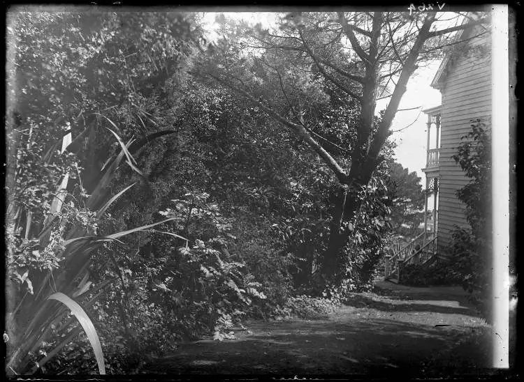 Driveway at The Avenue, Karangahape Road, 1905