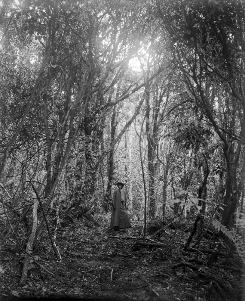 Woman in the bush at Ōpepe, 1909