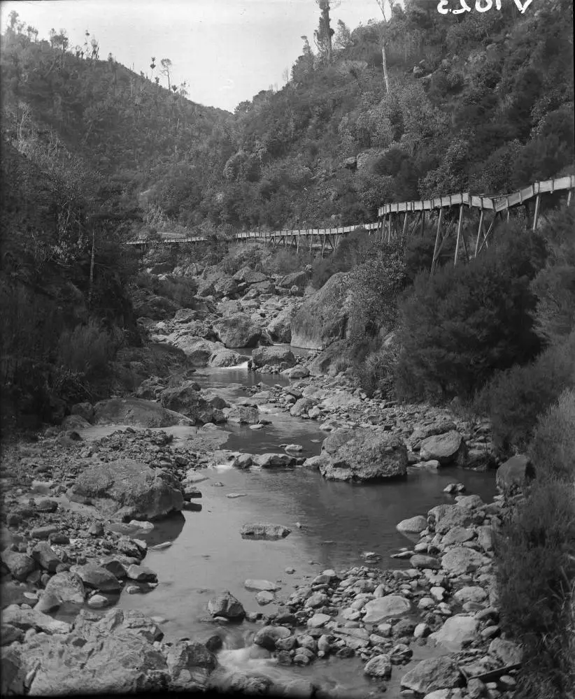 Wooden aqueduct above the Tararu Creek, Thames, 1906
