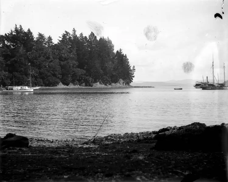 Boats moored in Bon Accord Harbour, Kawau Island, 1910s