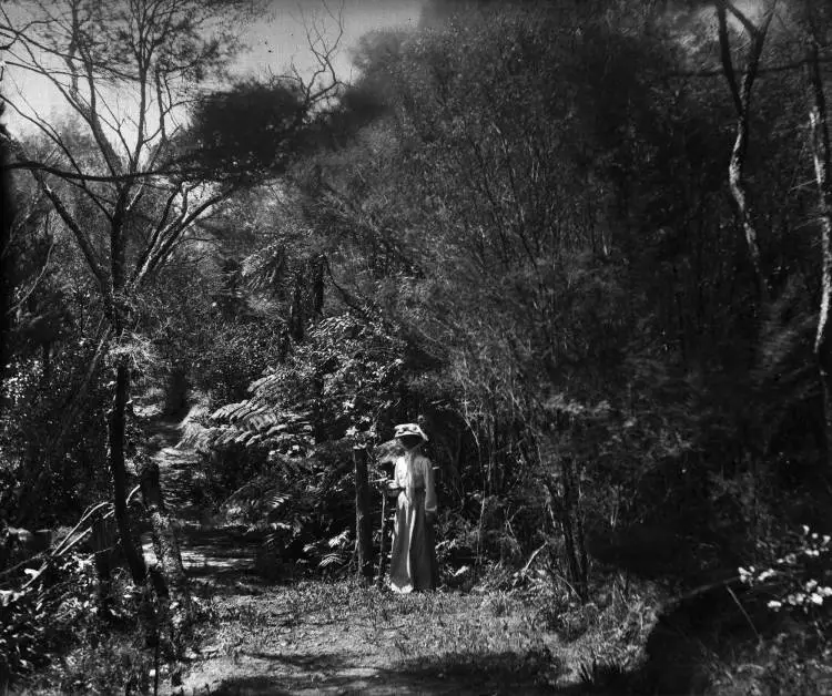 Woman in the bush at Hellyers Creek, 1906