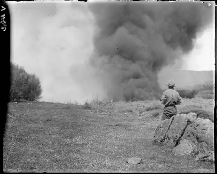 Burning off scrub at Broadlands, 1910