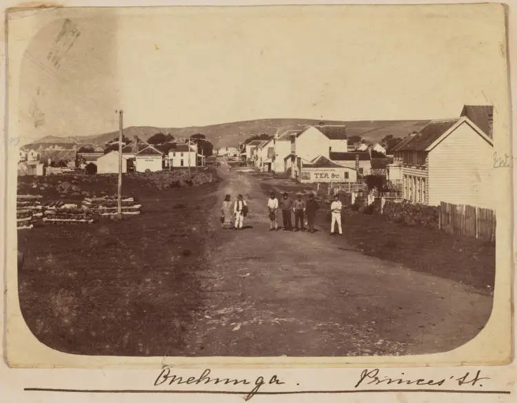 Princes Street, Onehunga, 1875