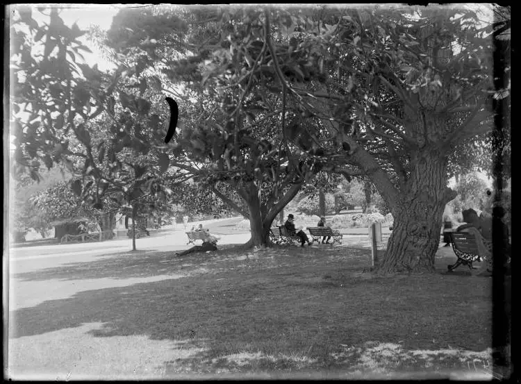 Albert Park, Auckland Central