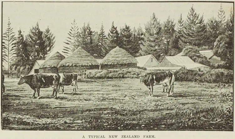 A typical New Zealand farm