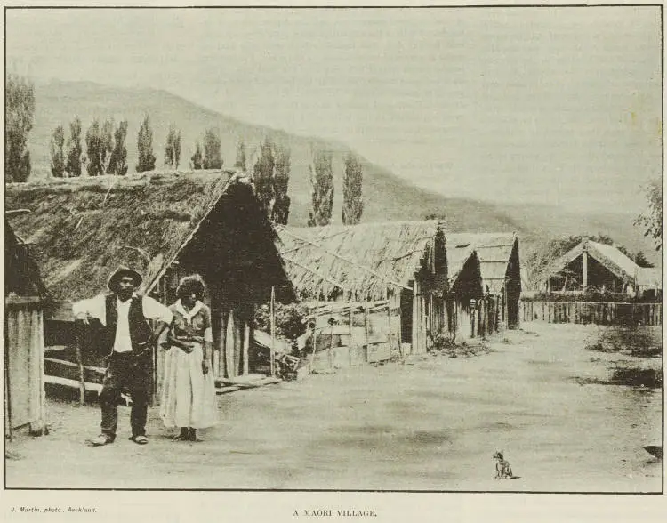 A Māori village