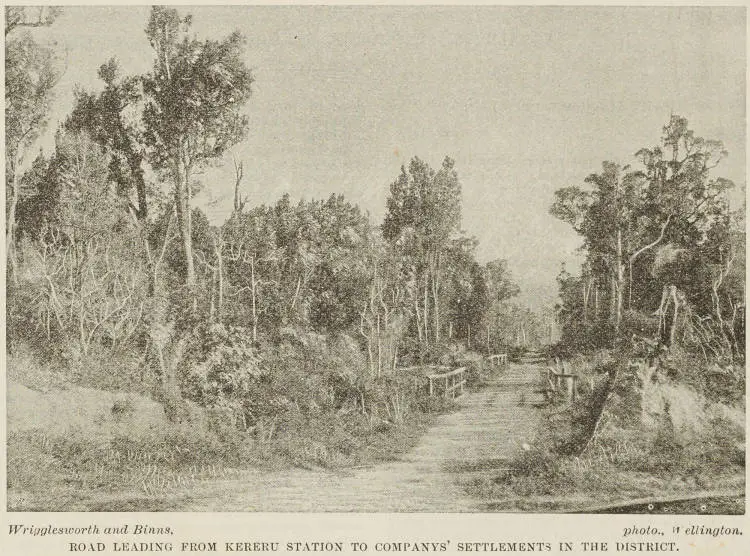 Road leading from Kereru station to company's' settlements in the district