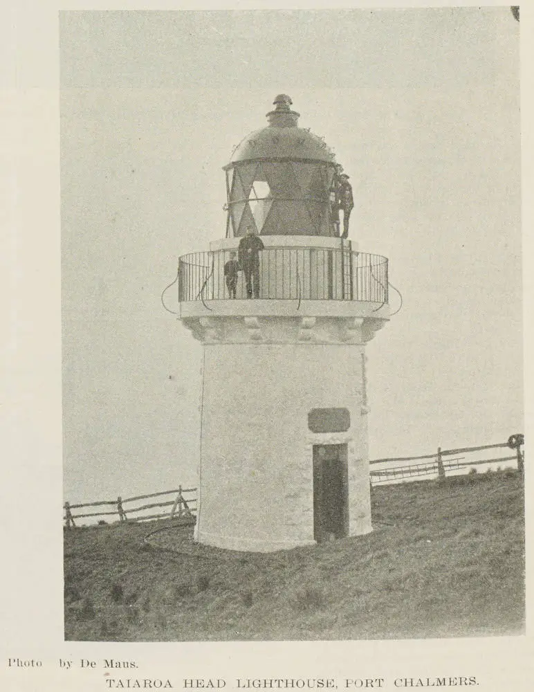 Taiaroa Head lighthouse, Port Chalmers