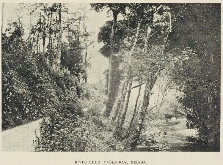 River Ludd, Cable Bay, Nelson
