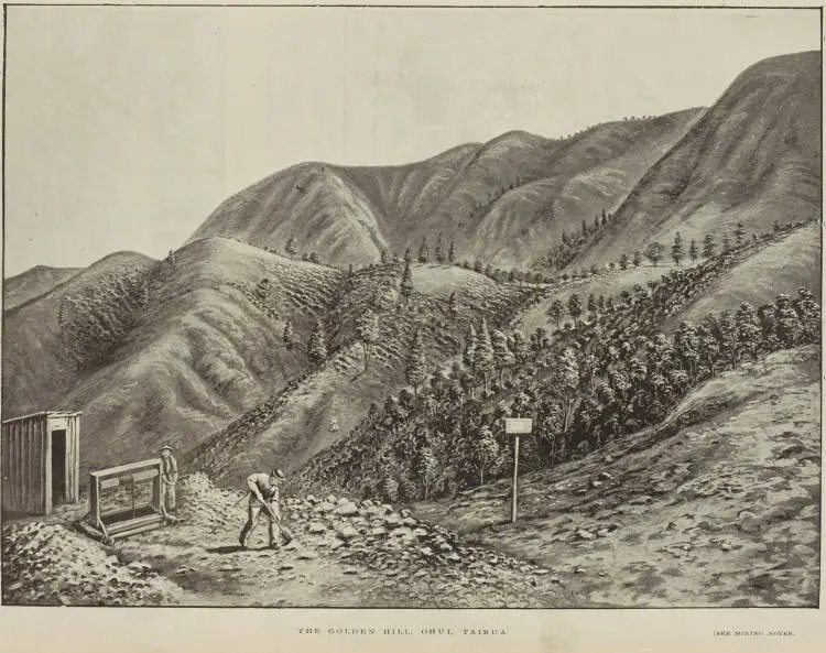 The Golden Hill, Ohui, Tairua